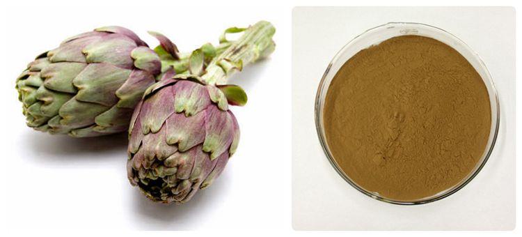 Artichoke Extract Powder