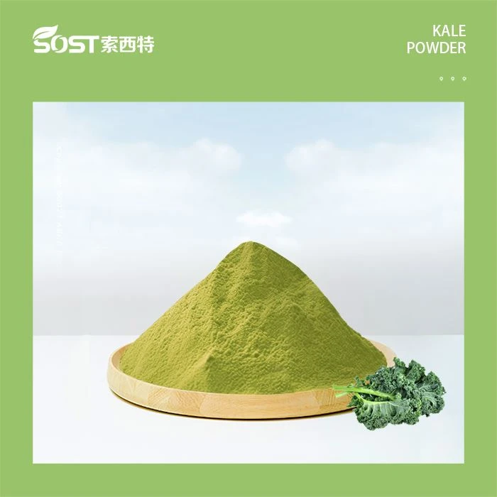 Dried Spinach Powder