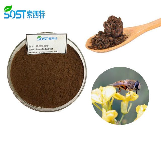 Natural Propolis Extract Powder